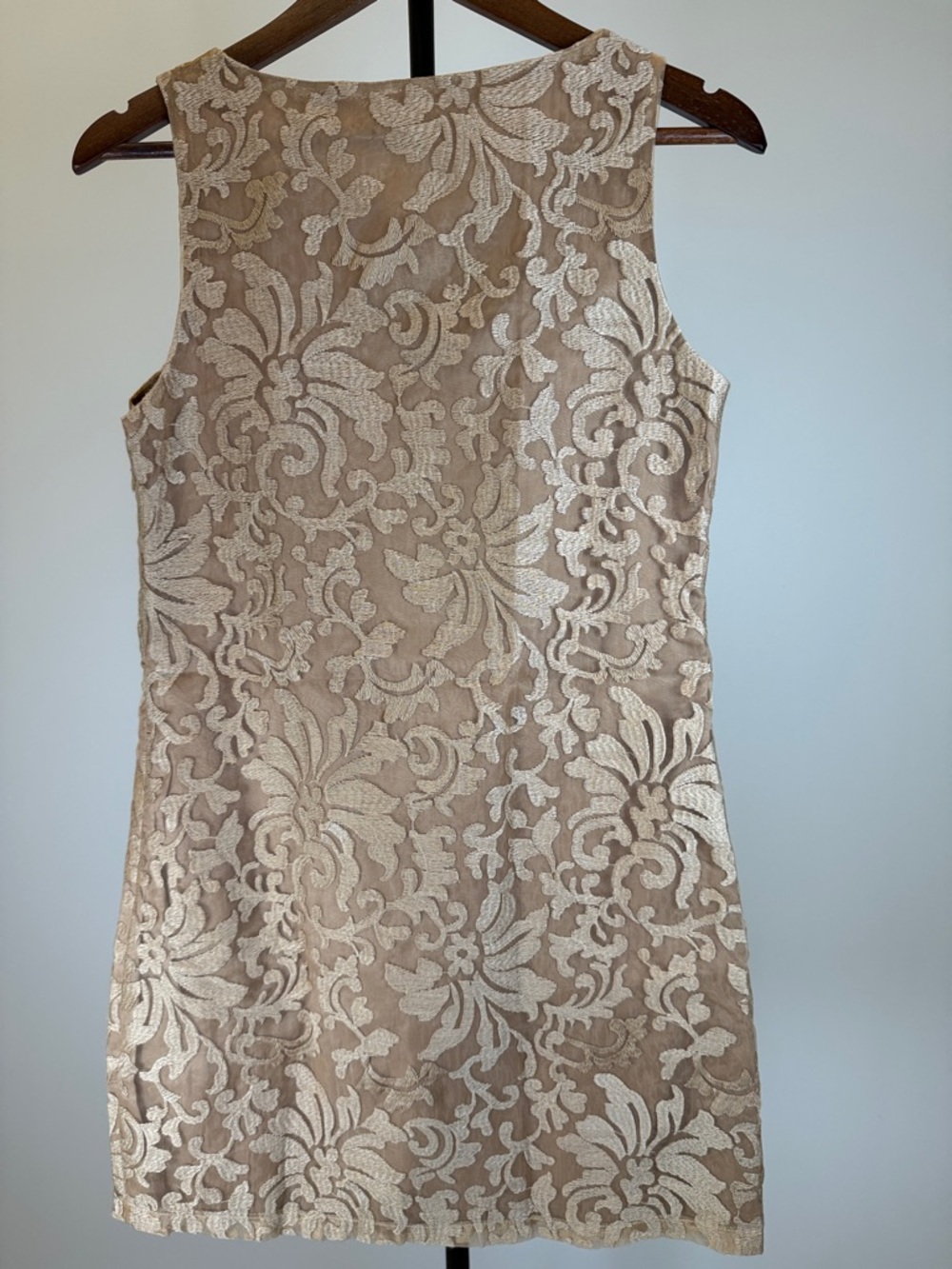 Lucy Paris Sleeveless Lace Shift Dress - Golden Tan/Nude | Size S - Picture 7 of 11